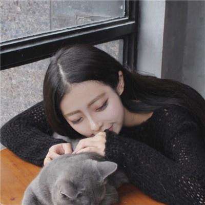 战术大师手游果盘版下载