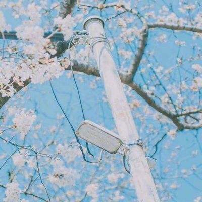 蚁族崛起体验版下载